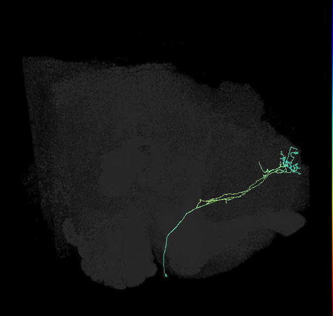 451015547