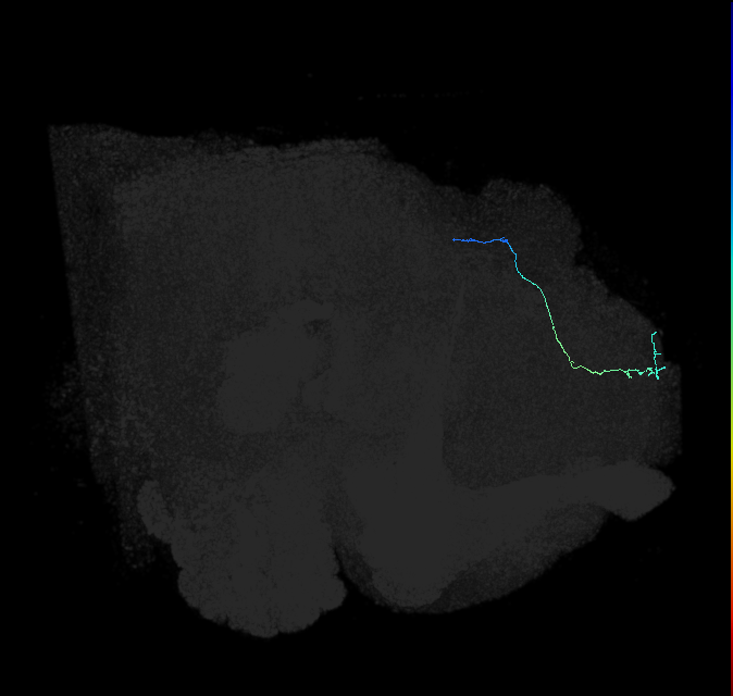 265120223
