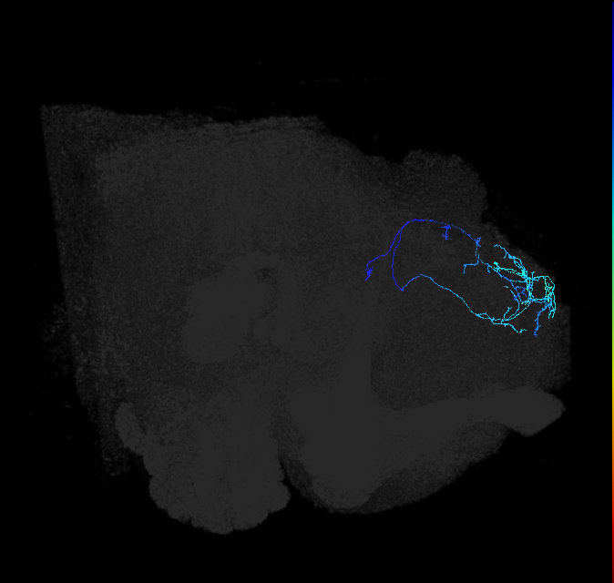 356494648