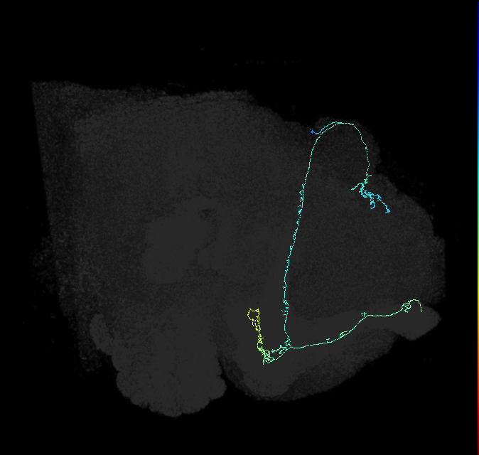 573065577