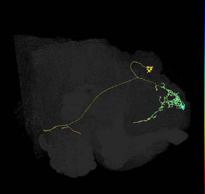 296859438