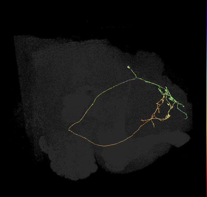 451071081
