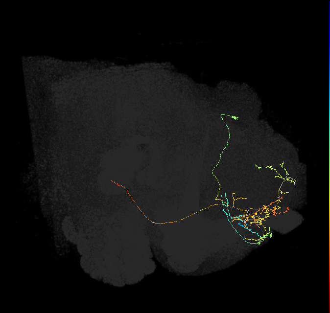 297925719