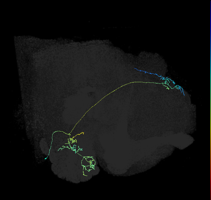 1670597454