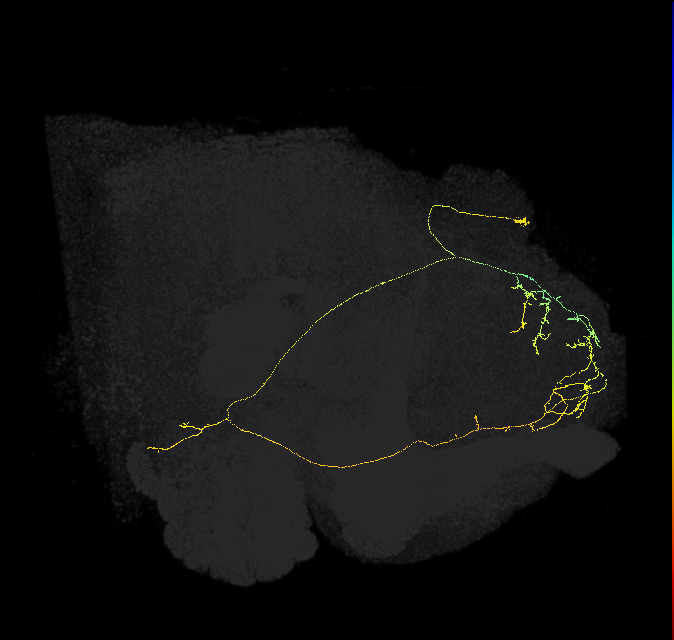 480698453