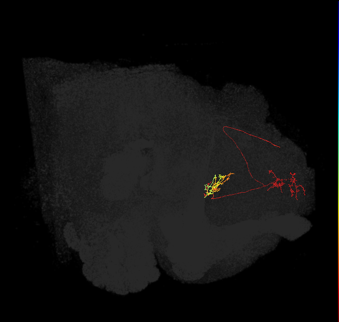 298055752