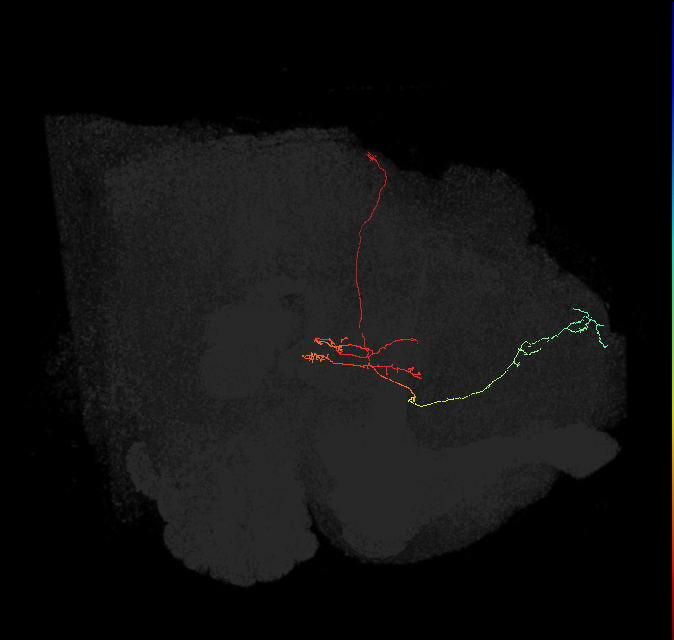 295490863
