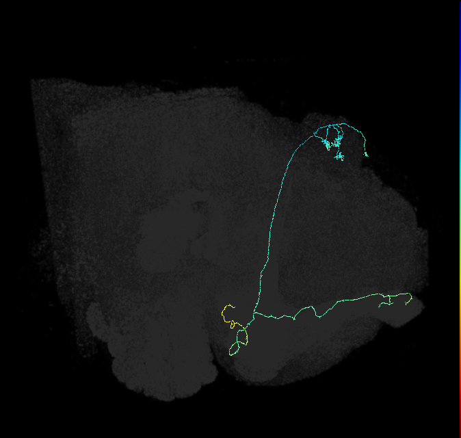 5812982372