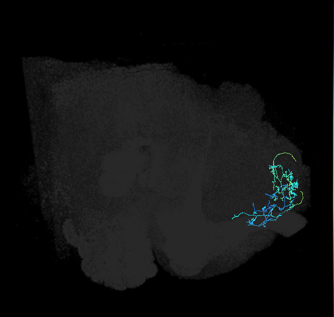 328537891