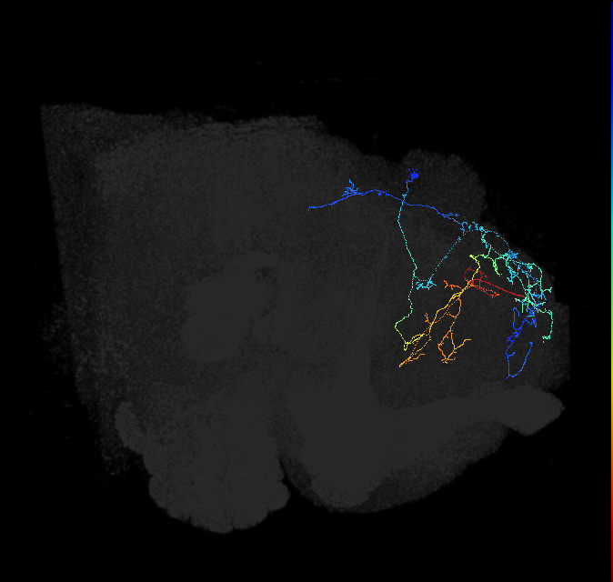5812980006