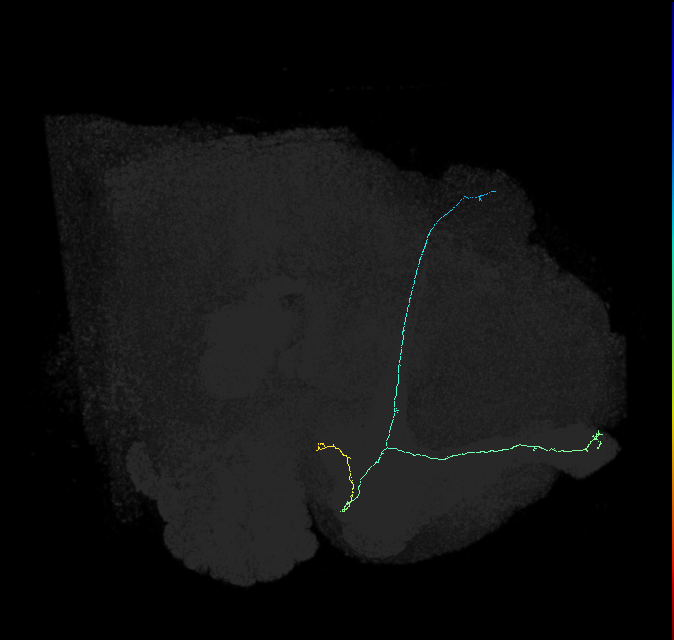 1047157958