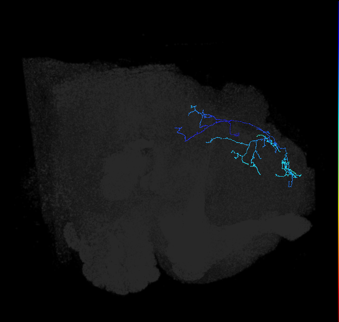 5812980016