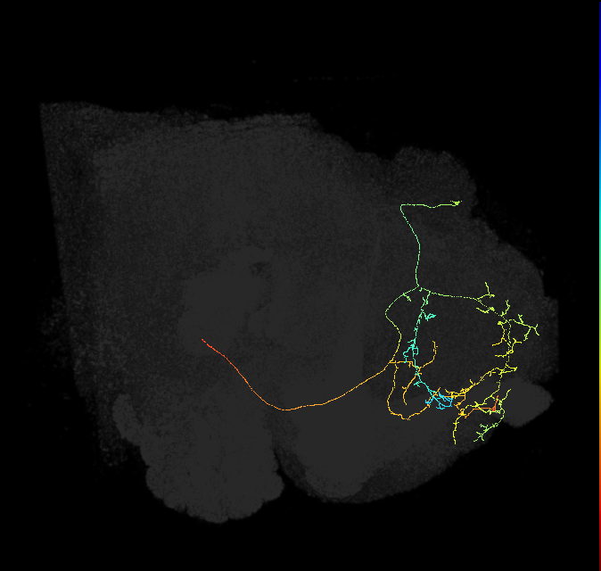 297929815