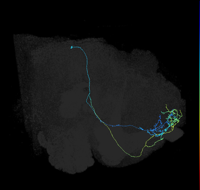 454001950