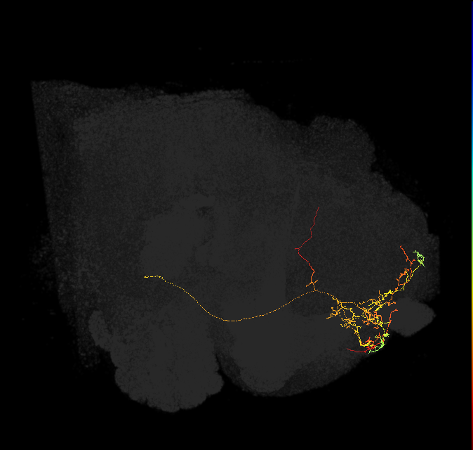 487636204