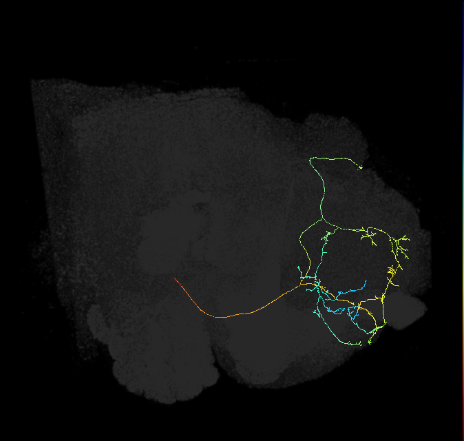 358635284