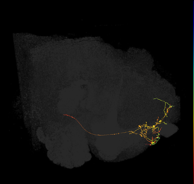 517587356