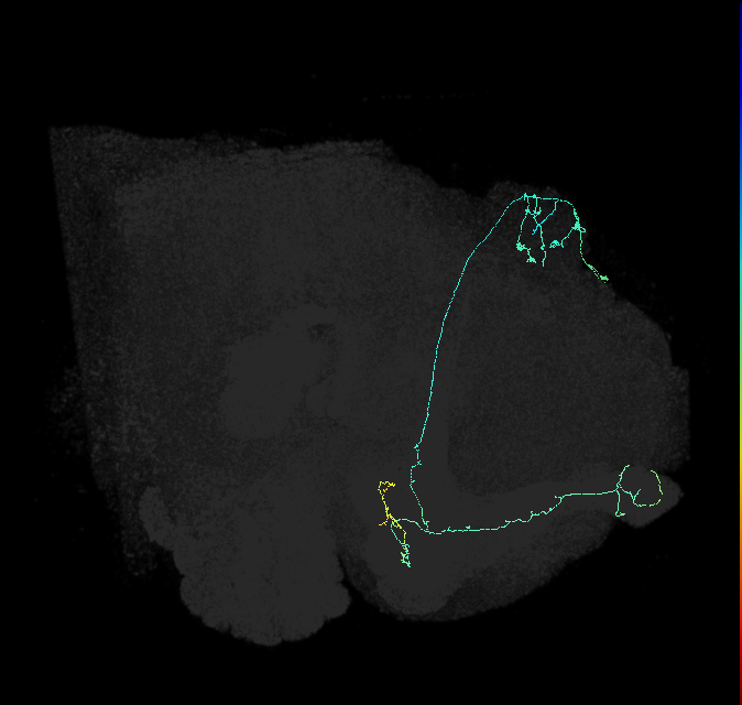 5812980931
