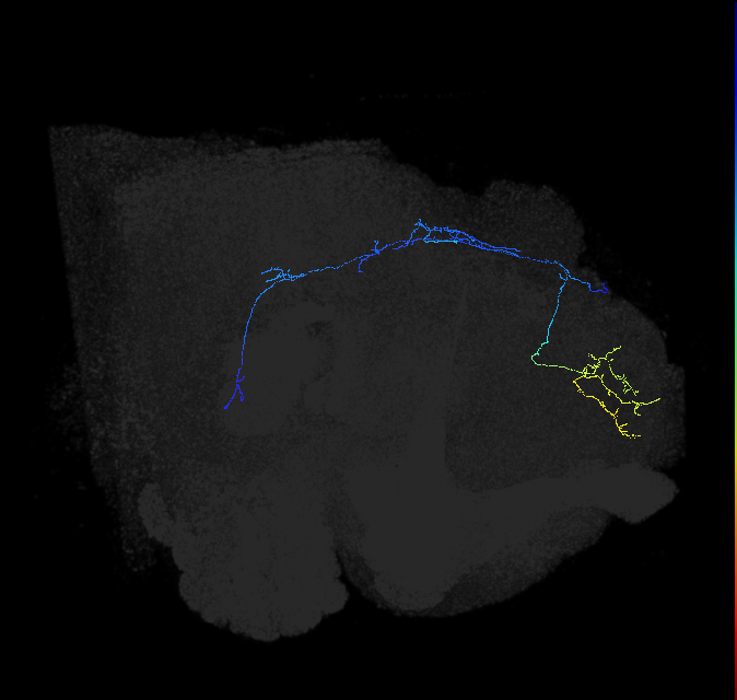 390356988