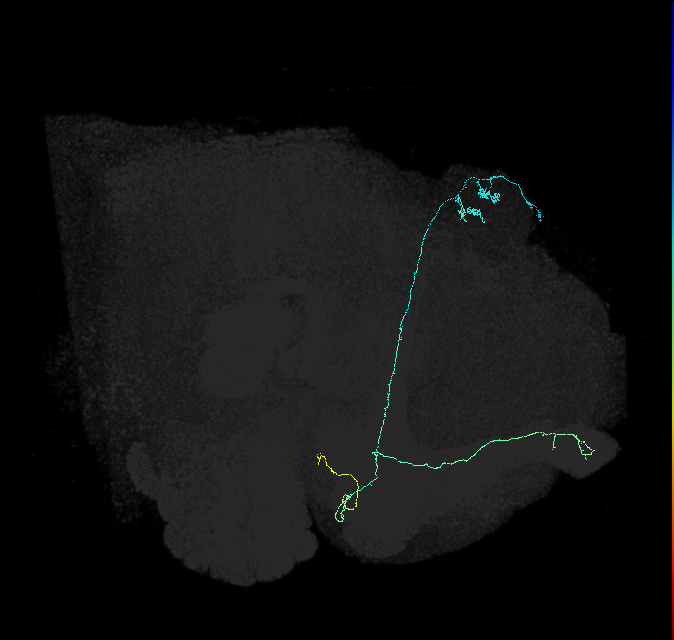 5812980615