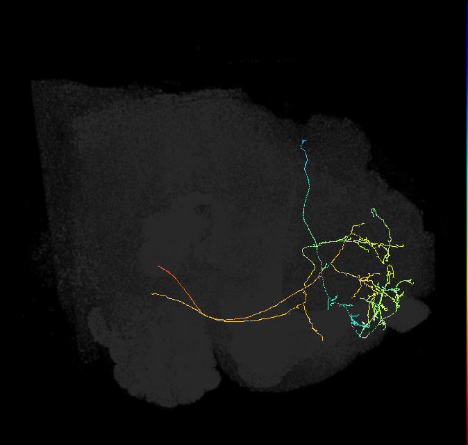 361355033