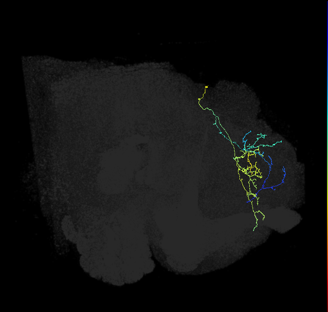 417908800