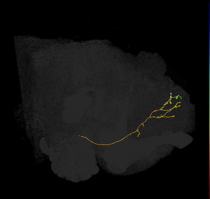 451080648