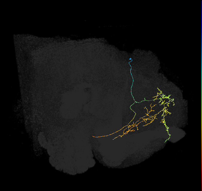 390024952