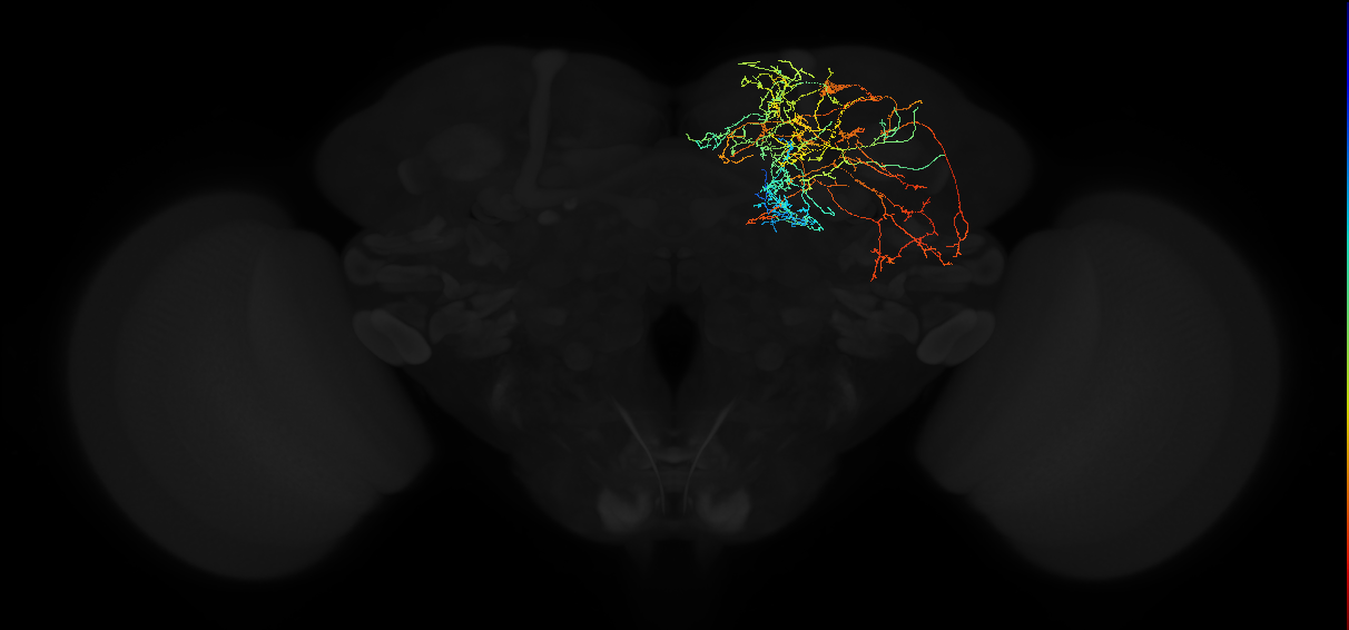 417221397