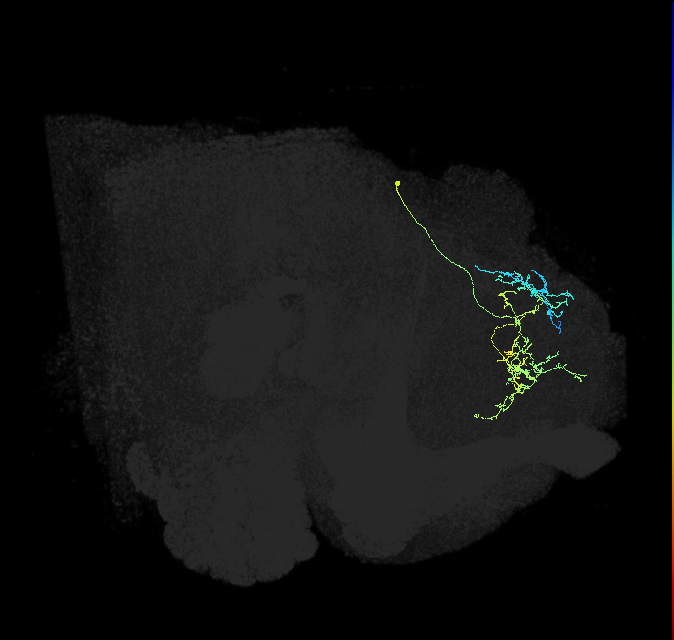514116545