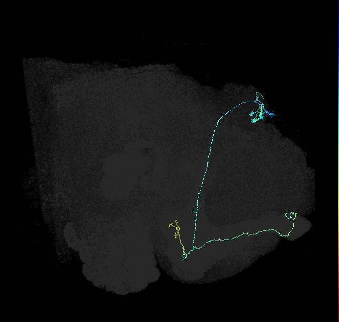 5812981676
