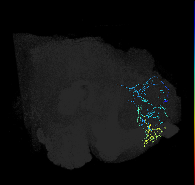 518598175