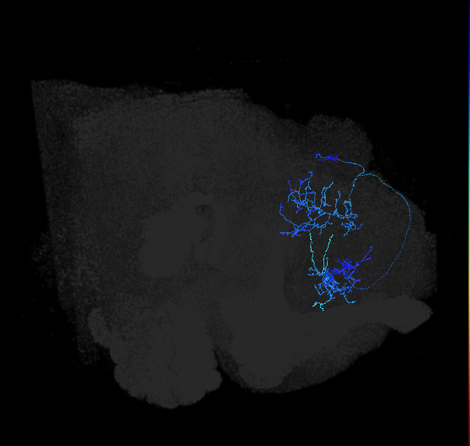 356809554