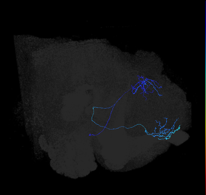 5812980824