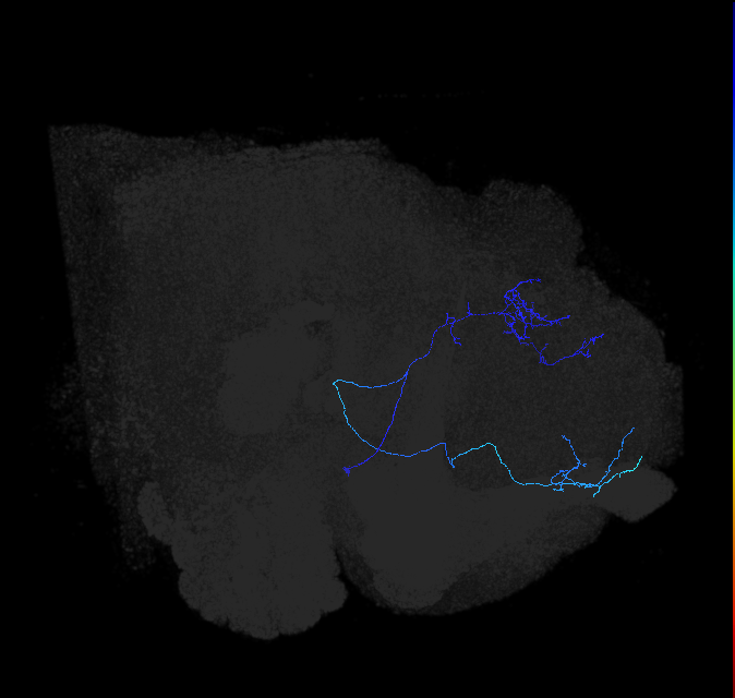 422971316