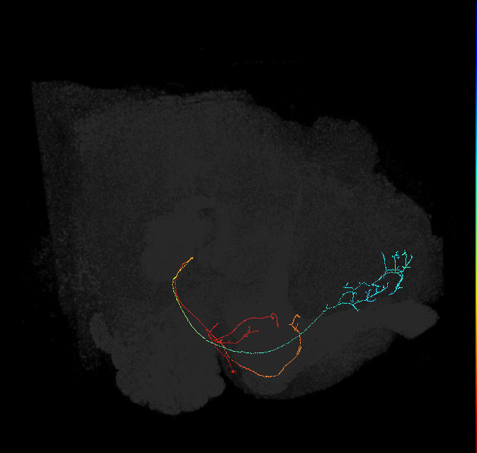 390616496