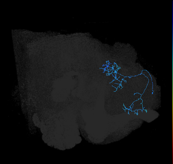 356468264