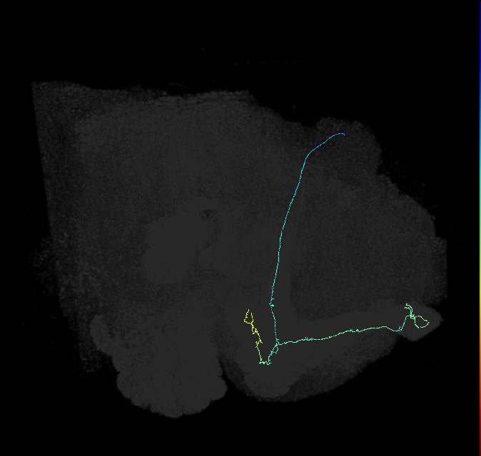 5812980768