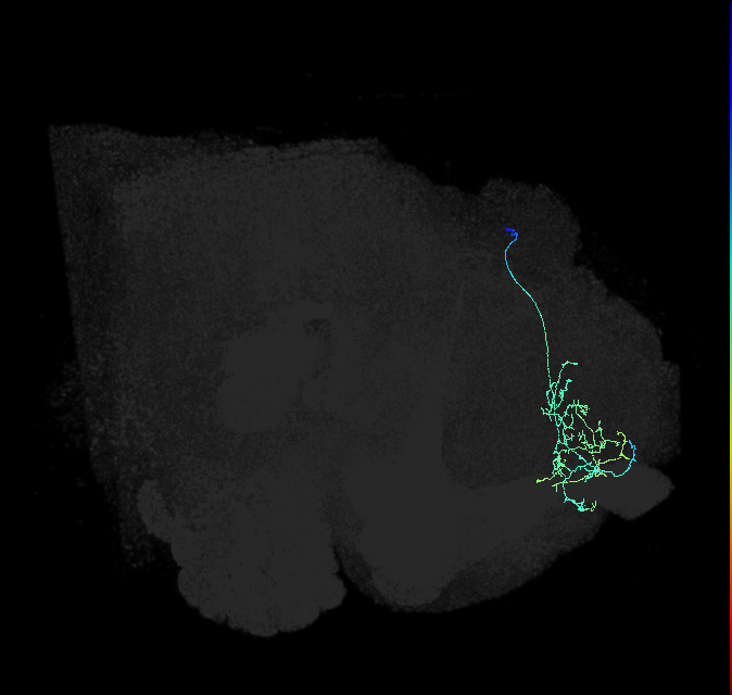5812980745