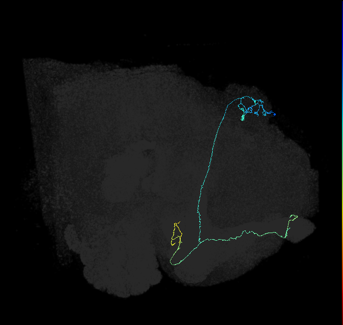 569615641