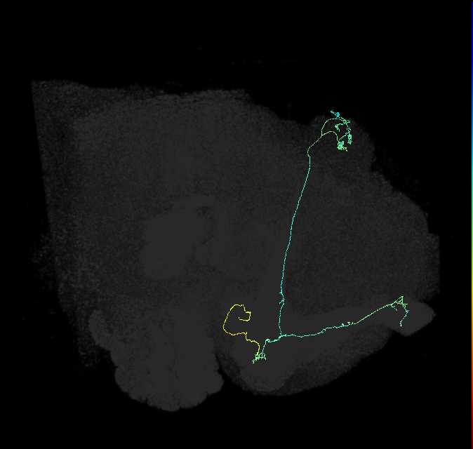 5812980555