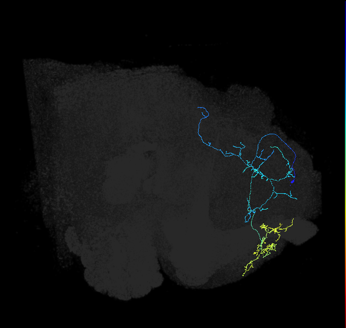 418516470