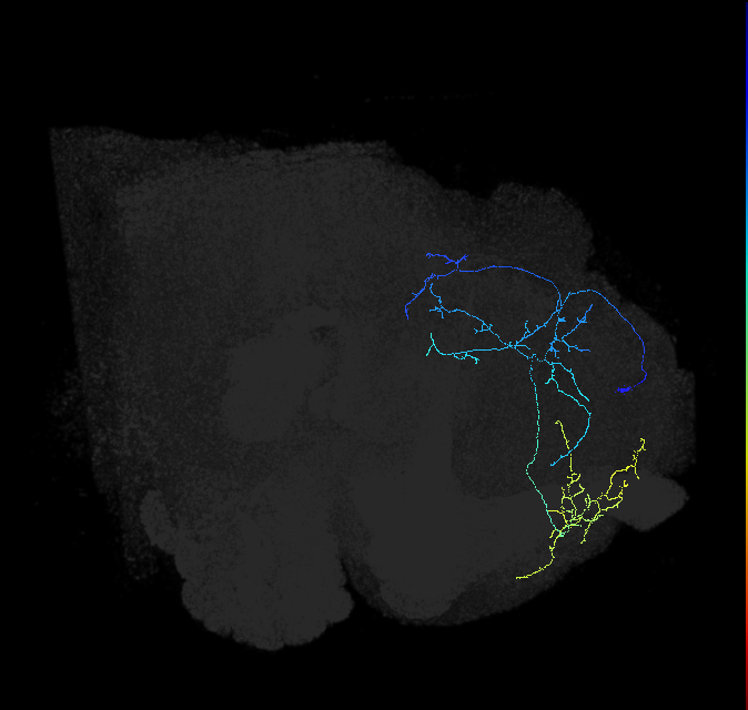 423105632