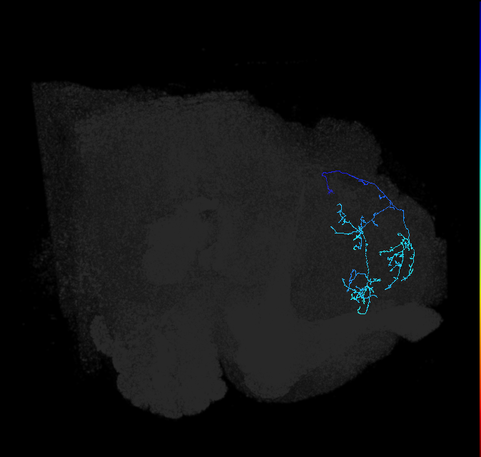 510952092