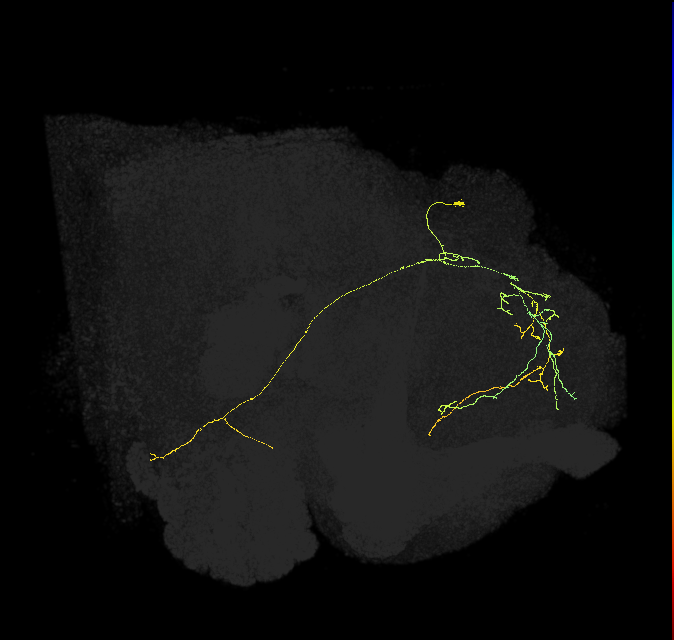 542457618