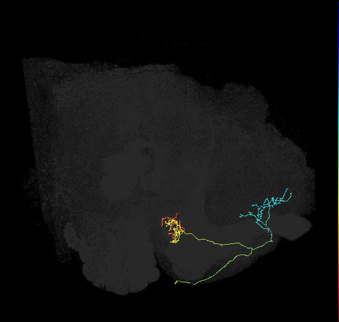 422682603