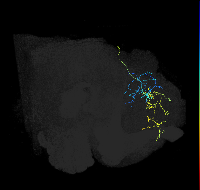 451049385