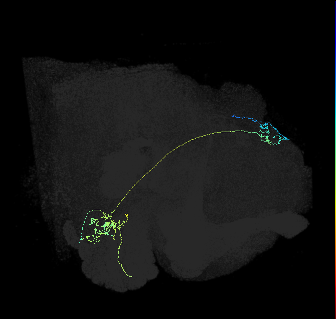 509626405