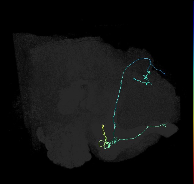 549571627
