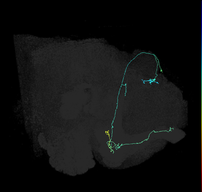 5812980940